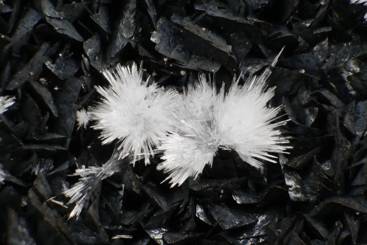 mineraux volcan lyon